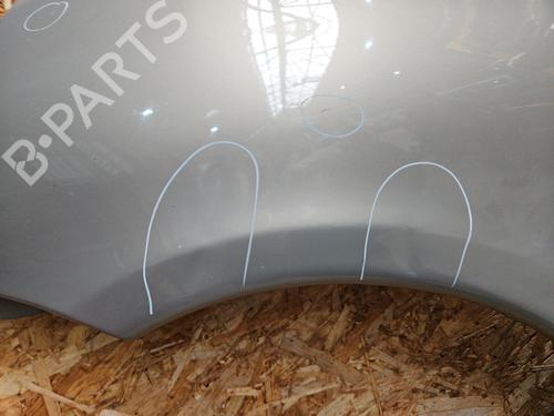 Left front fenders CITROËN XSARA PICASSO (N68) 1.6 HDi | BP29196722C41 