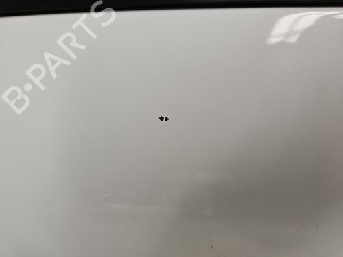 Left front door PEUGEOT 208 I (CA_, CC_) 1.4 HDi | BP24321509C2 