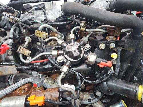 Engine FORD FOCUS C-MAX (DM2) 1.8 TDCi | BP31658071M1 