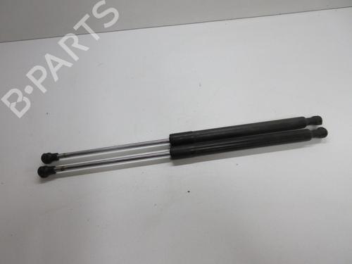 Used Tailgate lift support RENAULT CLIO III (BR0/1, CR0/1) 1.5 dCi (BR17, CR17) (86 hp) 20902625