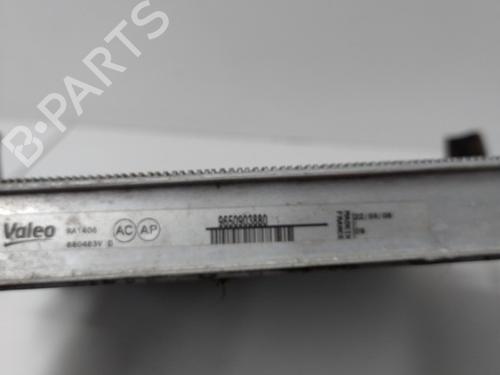 Used Water radiator Water radiator PEUGEOT 207 (WA_, WC_) 1.6 HDi (109 hp) 20907407 20907407