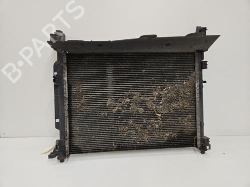Used Water radiator RENAULT KANGOO / GRAND KANGOO II (KW0/1_) 1.5 dCi 90 (KW05, KW08, KW0G, KW11) (90 hp) 29372268