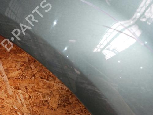 Left front fenders RENAULT SCÉNIC II (JM0/1_) 1.9 dCi (JM0G, JM12, JM1G, JM2C) | BP29578443C41 
