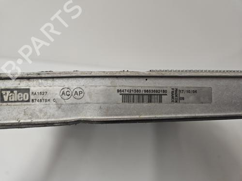 water-radiator-peugeot-307-cc-3b-2003-2004-2005-2006-2007-2008-2009-33311701 main image