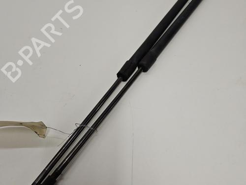 Used Tailgate lift support NISSAN X-TRAIL I (T30) 2.2 Di 4x4 (114 hp) 30532378