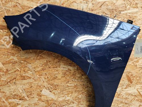 Used Left front fenders RENAULT SCÉNIC III (JZ0/1_) 1.5 dCi (110 hp) 29640296