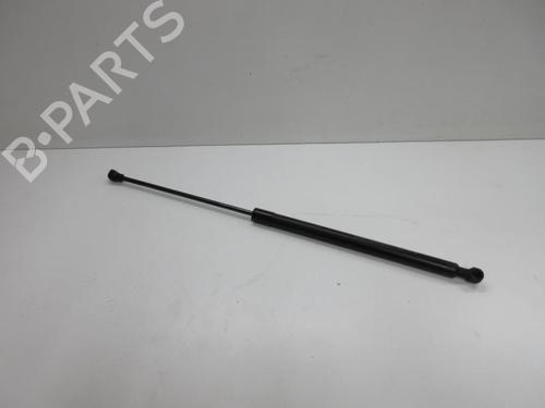 Used Hood lift support DACIA SANDERO II 1.0 SCe 75 (B8JC, B8JD) (73 hp) 22108398