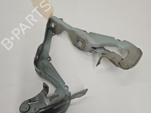 hingedoor-check-strap-citroen-c3-iii-sx-2016-23792798 main image