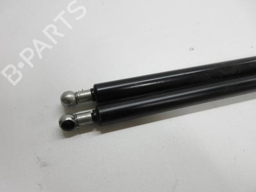 Tailgate lift support BMW 1 (F20) 120 d | BP20908431C138 