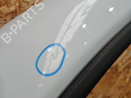 Left front door RENAULT TRAFIC III Van (FG_) 1.6 dCi 125 (FGMH) | BP29578456C2 