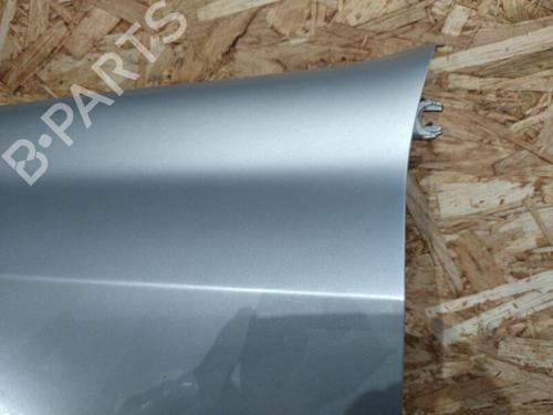 Used Left front fenders RENAULT LAGUNA II (BG0/1_) 1.9 dCi (BG08, BG0G) (120 hp) 20888830
