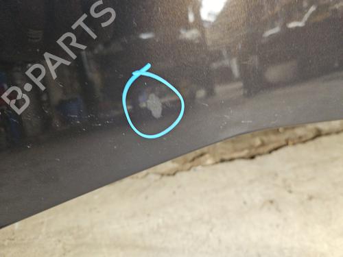 Hood RENAULT MODUS / GRAND MODUS (F/JP0_) 1.5 dCi (FP0D, JP0D) | BP29981385C1 