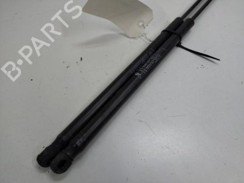 Tailgate lift support FIAT CROMA (194_) 1.9 D Multijet (194AXB1B) | BP20904914C138 