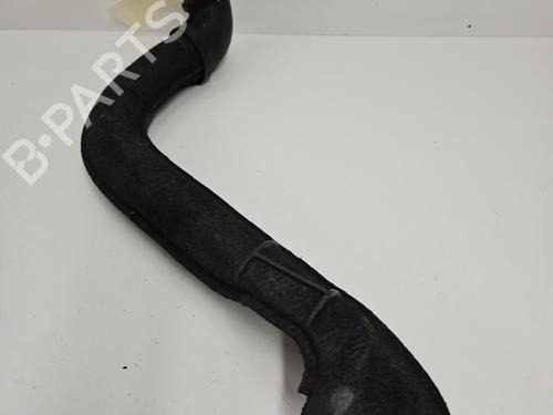 Pipe RENAULT CLIO III (BR0/1, CR0/1) 1.5 dCi (BR17, CR17) | BP29895719M125