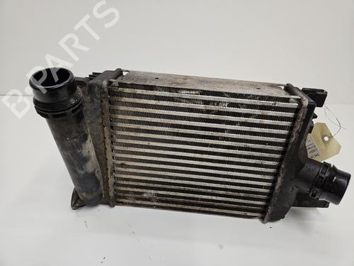 Intercooler DACIA LODGY (JS_) 1.2 TCe (JSAY, JSM0) (115 hp) 29142366