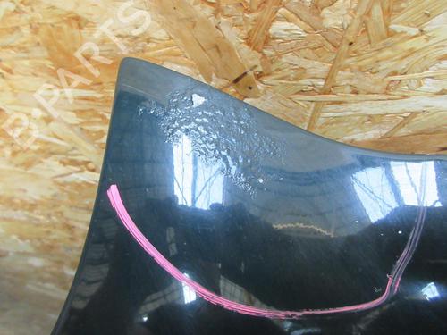 Hood JAGUAR S-TYPE II (X200) 2.7 D | BP23842982C1 
