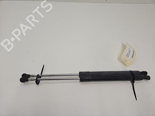 tailgate-lift-support-renault-clio-iii-br01-cr01-2005-2006-2007-2008-2009-2010-2011-2012-2013-2014-31819005 main image