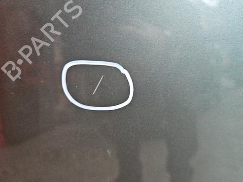 Hood RENAULT SCÉNIC II (JM0/1_) 1.9 dCi (JM0G, JM12, JM1G, JM2C) | BP29578444C1 
