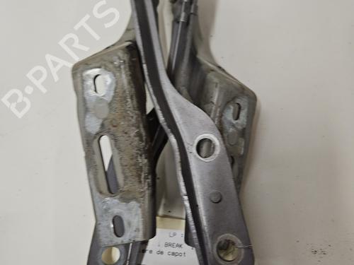 hingedoor-check-strap-peugeot-307-break-3e-2002-2003-2004-2005-2006-2007-2008-2009-29837716 main image