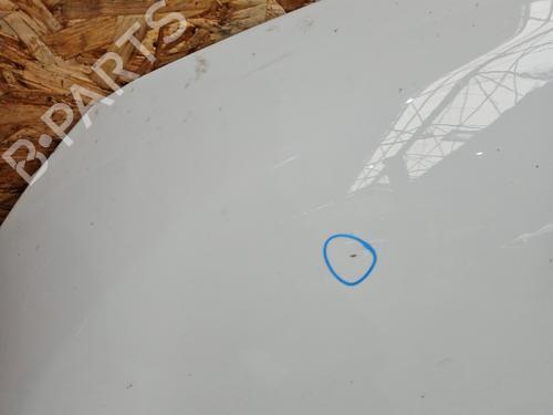Hood DACIA LODGY (JS_) 1.2 TCe (JSAY, JSM0) | BP29196664C1 