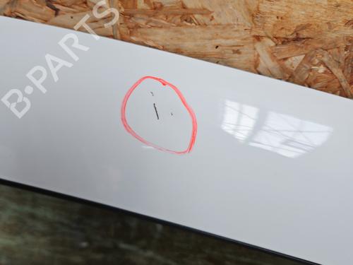 Right front door RENAULT ZOE (BFM_) ZOE | BP28310140C3