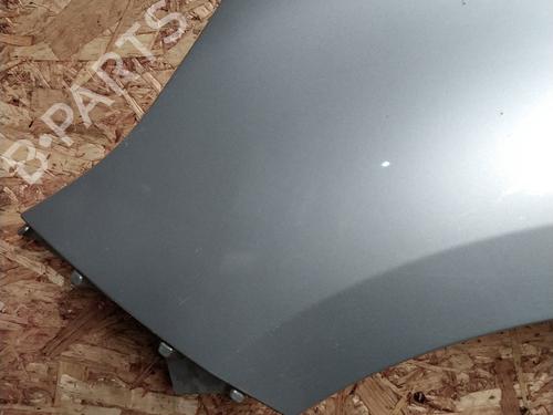 Left front fenders RENAULT SCÉNIC III (JZ0/1_) 1.5 dCi | BP22371006C41 