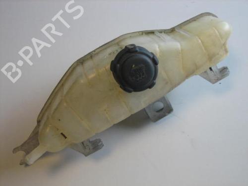 Used Expansion tank RENAULT CLIO III (BR0/1, CR0/1) 1.5 dCi (BR0H, CR0H, CR1S, BR1S) (106 hp) 20893216