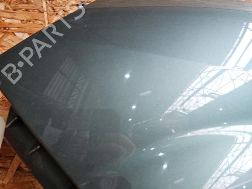 Left front fenders RENAULT SCÉNIC II (JM0/1_) 1.9 dCi (JM0G, JM12, JM1G, JM2C) | BP29578443C41 