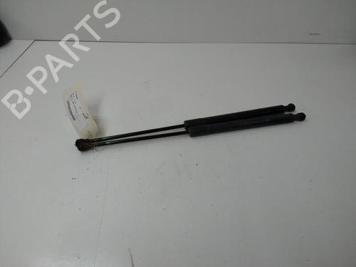 Achterklepdemper CITROËN C3 II (SC_) 1.4 HDi 70 (SC8HZC, SC8HR0, SC8HP4) (68 hp) 20888562