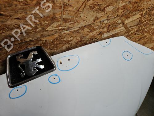 Hood PEUGEOT 106 II (1A_, 1C_) 1.5 D | BP29521520C1 