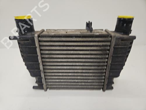 Intercooler RENAULT CLIO III (BR0/1, CR0/1) 1.2 16V (BR0P, CR0P) | BP32242259M30