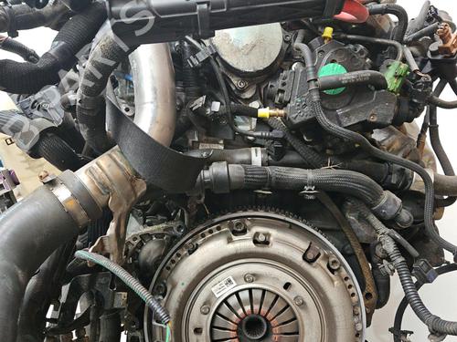 Engine FIAT TALENTO Van (296_) 1.6 D | BP31025480M1