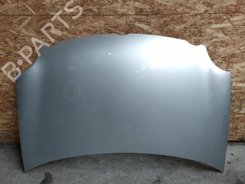 Hood VW POLO IV (9N_, 9A_) 1.4 TDI | BP23843025C1 