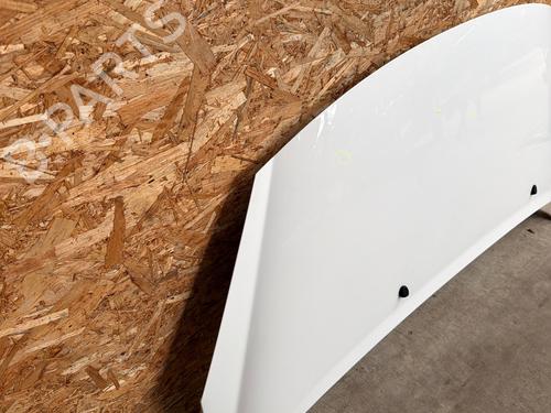 Used Hood Hood PEUGEOT 207 (WA_, WC_) 1.6 HDi (92 hp) 34145788 34145788