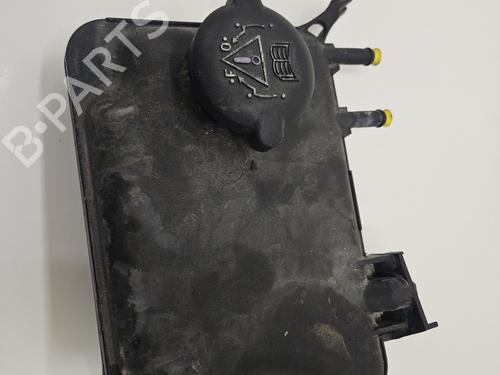 Used Expansion tank PEUGEOT 106 II (1A_, 1C_) 1.5 D (57 hp) 31301225