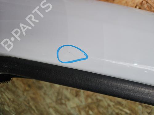 Left front door RENAULT TRAFIC III Van (FG_) 1.6 dCi 125 (FGMH) | BP29578456C2 