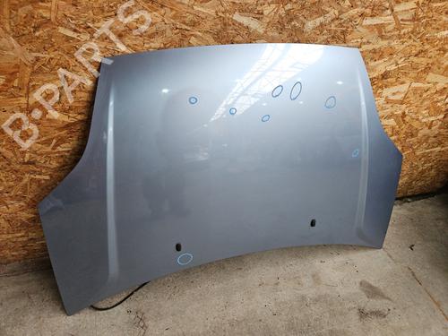Hood FORD FIESTA V (JH_, JD_) 1.4 TDCi | BP29521524C1 