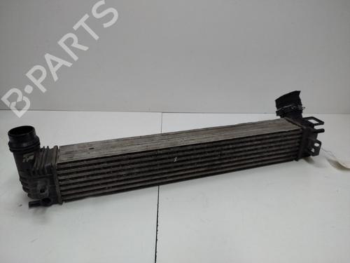 Used Intercooler Intercooler RENAULT MEGANE III Coupe (DZ0/1_) 1.6 dCi (DZ00, DZ12, DZ2A, DZ13) (130 hp) 20887865 20887865