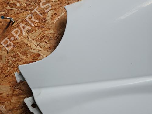 Left front fenders OPEL VIVARO A Van (X83) 2.0 CDTI (F7) | BP24195392C41 