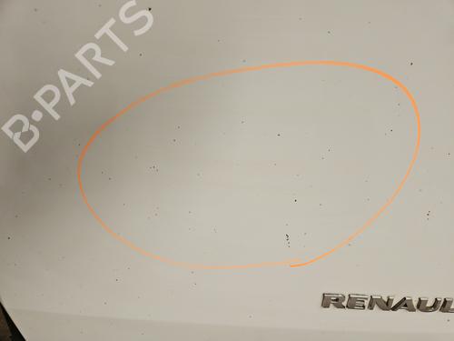 Right tailgate RENAULT KANGOO / GRAND KANGOO II (KW0/1_) 1.5 dCi 90 (KW05, KW08, KW0G, KW11) | BP30139373C77