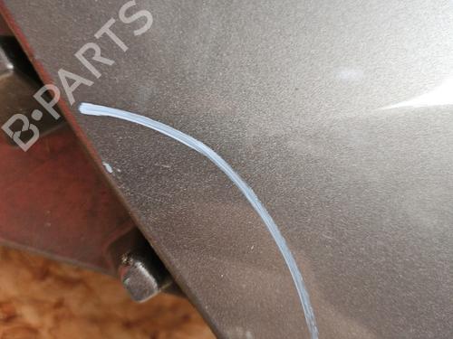 Left front fenders RENAULT SCÉNIC III (JZ0/1_) 1.5 dCi | BP26461989C41 