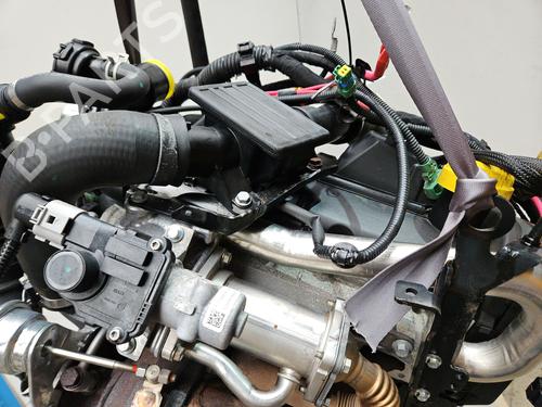 Engine RENAULT KANGOO / GRAND KANGOO II (KW0/1_) 1.5 dCi 90 (KW05, KW08, KW0G, KW11) | BP30139380M1