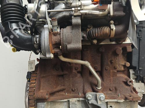 Engine RENAULT MEGANE II (BM0/1_, CM0/1_) 1.5 dCi (BM1E, CM1E) | BP27974560M1 