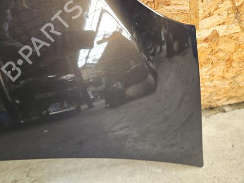 Hood RENAULT MODUS / GRAND MODUS (F/JP0_) 1.5 dCi (FP0D, JP0D) | BP29981385C1 