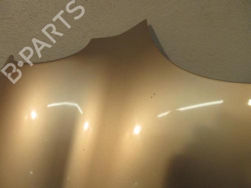Hood JAGUAR S-TYPE II (X200) 2.5 V6 | BP23842940C1 