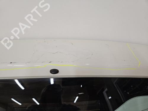 Used Tailgate Tailgate 38423728 38423728