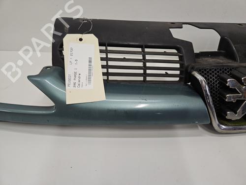 Grill PEUGEOT 206 Hatchback (2A/C) 1.9 D | BP29549805C40 