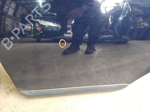 Left rear door DACIA SANDERO 1.2 16V | BP28444893C4