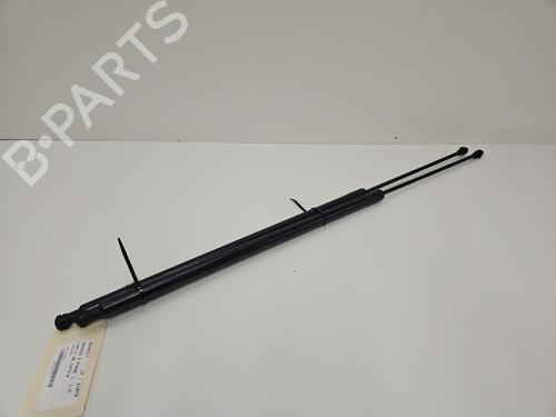 tailgate-lift-support-renault-kangoo-grand-kangoo-ii-kw01_-2008-32156402 main image