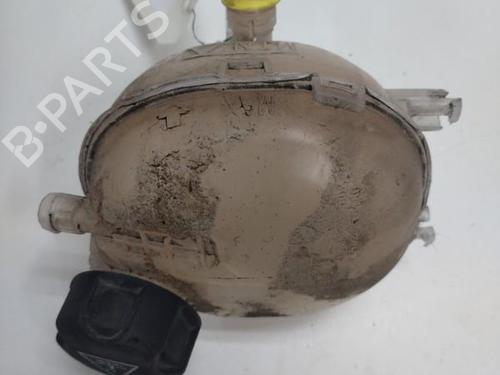 Expansion tank PEUGEOT 208 II (UB_, UP_, UW_, UJ_) 1.5 BlueHDI 100 | BP20893813C120 